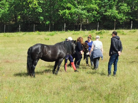 la-ferme-du-petit-poucet-mediation-ikai-riva