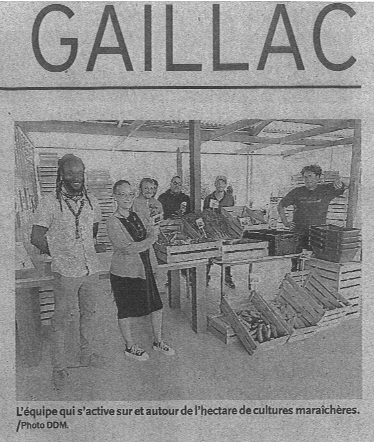 presse-marche-image